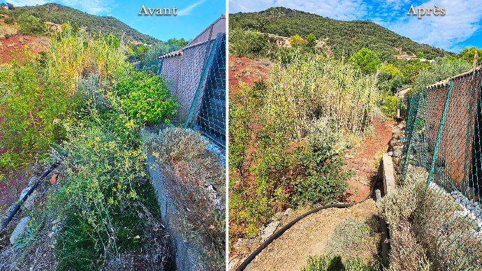 débrousaillage fossée